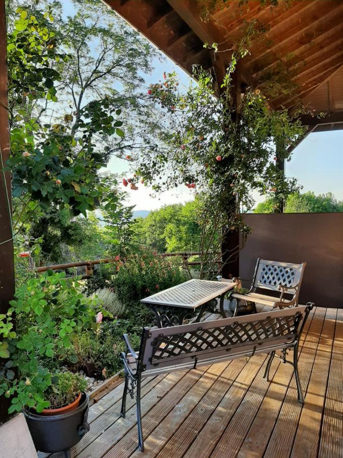 Le Grand Noyer Bed & Breakfast Ambronay Exterior photo
